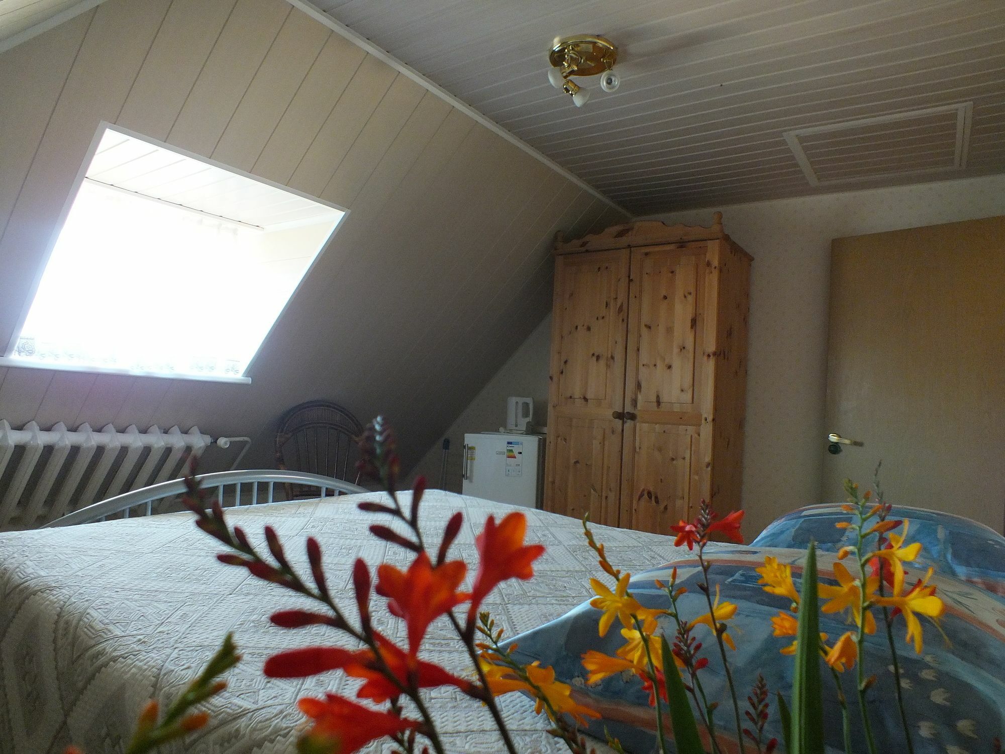 Villa Zveju 29 Palanga Exteriér fotografie